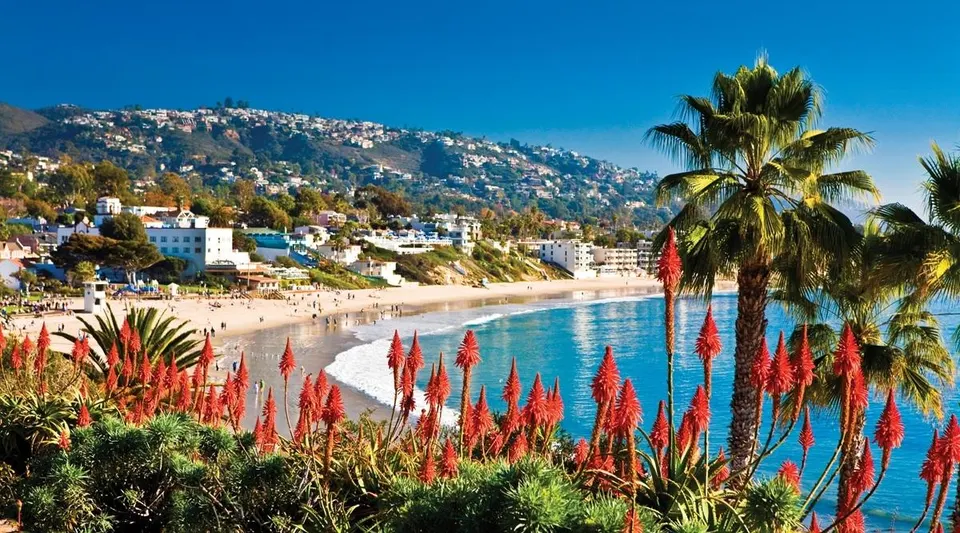 Appliance Repair Orange County